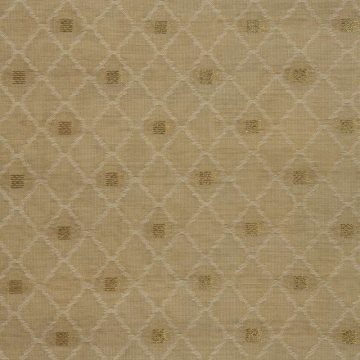 TUSSAR JACQUARD BUTTA - Bharat Synthetics - Best clothing manufacturer in surat
